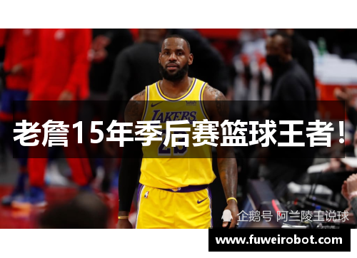老詹15年季后赛篮球王者！